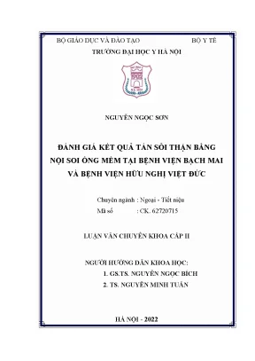Luận văn thạc sĩ y học đánh giá kết quả tán sỏi thận bằng nội soi ống mềm tại bệnh viện bạch mai và bệnh viện hữu nghị việt đức