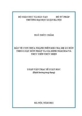 Luận văn thạc sĩ luật học bảo vệ con chưa thành niên khi cha mẹ ly hôn theo luật hôn nhân và gia đình năm 2014 và thực tiễn thực hiện