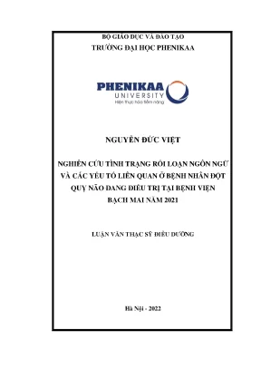 Nghiên cứu tình trạng rối loạn ngôn ngữ và các yếu tố liên quan ở bệnh nhân đột quỵ não đang điều trị tại bệnh viện bạch mai năm 2021
