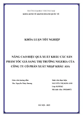 Nâng cao hiệu quả xuất khẩu các sản phẩm tóc giả sang thị trường nigeria của công ty cổ phần xuất nhập khẩu asa