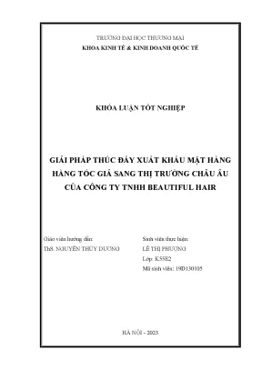 Giải pháp thúc đẩy xuất khẩu mặt hàng tóc giả sang thị trường châu âu của công ty tnhh beautiful hair