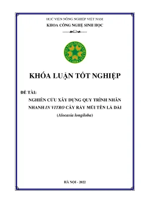 Nghiên cứu xây dựng quy trình nhân nhanh in vitro cây ráy mũi tên lá dài alocasia longiloba