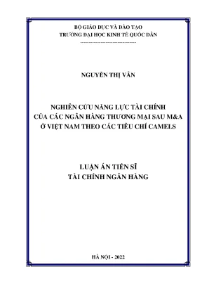 Luận án tiến sĩ nghiên cứu năng lực tài chính của các ngân hàng thương mại sau ma ở việt nam theo các tiêu chí camels