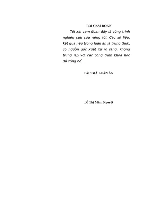 Luận án tiến sĩ tự đánh giá năng lực của giảng viên ở các trường sĩ quan quân đội nhân dân việt nam