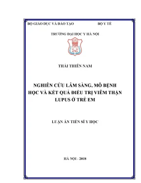 Luận án tiến sĩ nghiên cứu lâm sàng mô bệnh học và kết quả điều trị viêm thận lupus ở trẻ em