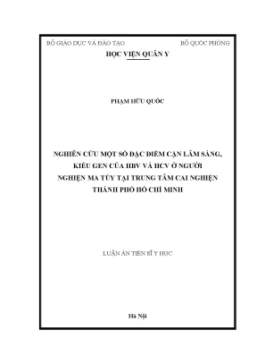 Luận án tiến sĩ nghiên cứu một số đặc điểm cận lâm sàng kiểu gen của hbv và hcv ở người nghiện ma túy tại trung tâm cai nghiện thành phố hồ chí minh