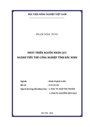 Luận án tiến sĩ phát triển nguồn nhân lực ngành tiểu thủ công nghiệp tỉnh bắc ninh