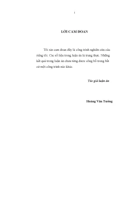 Luận án tiến sĩ tổ chức kế toán quản trị với việc tăng cường quản lý hoạt động kinh doanh trong các doanh nghiệp xây lắp việt nam