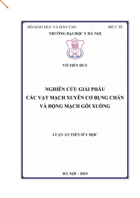Luận án tiến sĩ nghiên cứu giải phẫu các vạt mạch xuyên cơ bụng chân và động mạch gối xuống