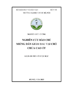 Tên luận án nghiên cứu bào chế miếng dán giảm đau tại chỗ chứa cao ớt