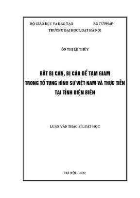 Luận văn thạc sĩ luật học bắt bị can bị cáo để tạm giam trong tố tụng hình sự việt nam và thực tiễn tại tỉnh điện biên