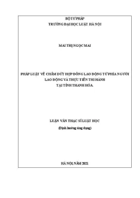 Luận văn thạc sĩ luật học pháp luật về chấm dứt hợp đồng lao động từ phía người lao động và thực tiễn thi hành tại tỉnh thanh hoá