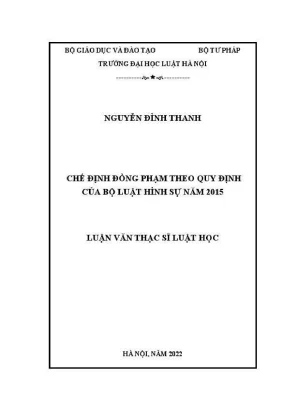 Luận văn thạc sĩ luật học chế định đồng phạm theo quy định của bộ luật hình sự năm 2015