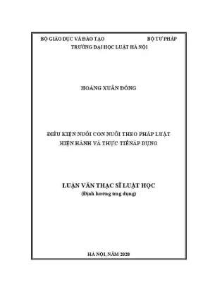 Luận văn thạc sĩ luật học điều kiện nuôi con nuôi theo pháp luật hiện hành và thực tiễn áp dụng