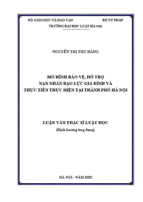Luận văn thạc sĩ luật học mô hình bảo vệ hỗ trợ nạn nhân bạo lực gia đình và thực tiễn thực hiện tại thành phố hà nội