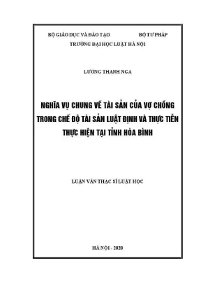 Luận văn thạc sĩ luật học nghĩa vụ chung về tài sản của vợ chồng trong chế độ tài sản luật định và thực tiễn thực hiện tại tỉnh hoà bình