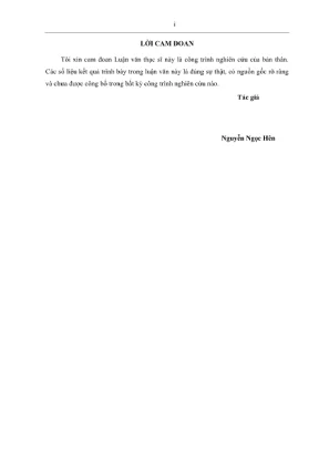 Luận văn thạc sĩ chuyên ngành kỹ thuật xây dựng công trình thủy nghiên cứu giải pháp công trình kè chống xói lở bờ biển phước tỉnh huyện long điền tỉnh bà rịa vũng tàu