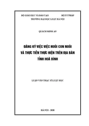 Luận văn thạc sĩ luật học đăng ký việc nuôi con nuôi và thực tiễn thực hiện trên địa bàn tỉnh hoà bình