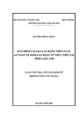 Luận văn thạc sĩ luật học bảo hiểm tai nạn lao động theo luật an toàn vệ sinh lao động từ thực tiễn tại tỉnh lạng sơn