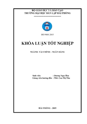 Luận văn giải pháp nâng cao hiệu quả sử dụng vốn của công ty tnhh mtv