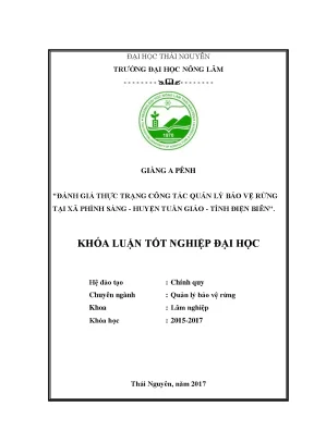 Luận văn đánh giá thực trạng công tác quản lý bảo vệ rừng tại xã phình sáng huyện tuần giáo tỉnh điện biên
