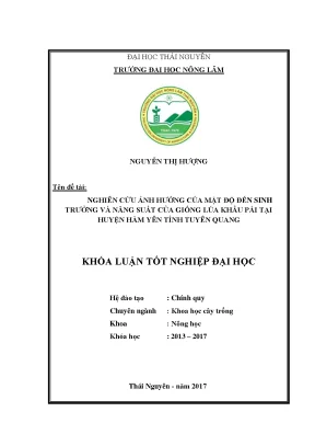 Luận văn nghiên cứu ảnh hưởng của mật độ đến sinh trưởng và năng suất của giống lúa khẩu pái tại huyện hàm yên tỉnh tuyên quang