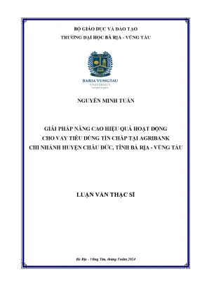 Luận văn thạc sĩ giải pháp nâng cao hiệu quả hoạt động cho vay tiêu dùng tín chấp tại agribank chi nhánh huyện châu đức tỉnh bà rịa vũng tàu