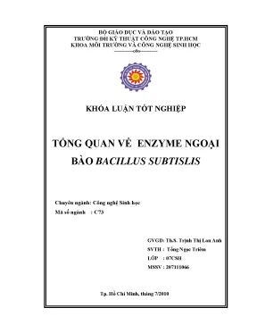 Luận văn tổng quan về enzyme ngoại bào bacillus subtilis