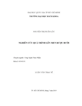 Luận văn thạc sĩ công nghệ thực phẩm nghiên cứu quá trình lên men rượu bưởi