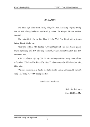 Luận văn nghiên cứu tái sử dụng nước thải chứa chất hữu cơ vào canh tác cây trồng nông nghiệp