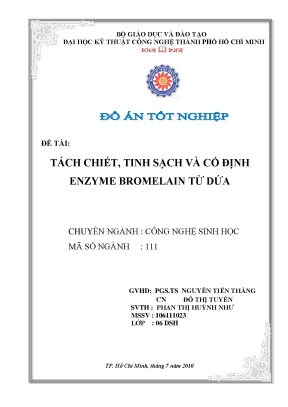 Luận văn tách chiết tinh sạch và cố định enzyme bromelin từ dứa
