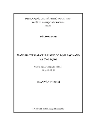 Luận văn thạc sĩ công nghệ sinh học màng bacterial cellulose cố định bạc nano ứng dụng