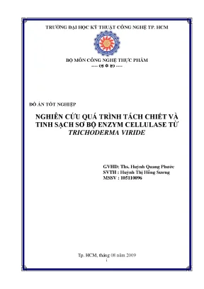 Luận văn nghiên cứu quá trình tách chiết và tinh sạch sơ bộ enzym cellulase từ trichoderma viride