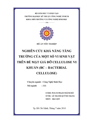 Luận văn nghiên cứu khả năng tăng trưởng của một số vi sinh vật trên bề mặt cellulose vi khuẩn bc bacterial cellulose
