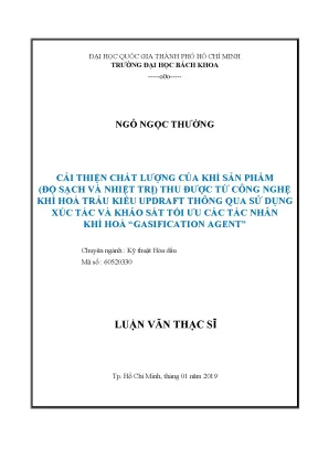 Luận văn thạc sĩ kỹ thuật hóa dầu cải thiện chất lượng của khí sản phẩm độ sạch và nhiệt trị thu được từ công nghệ khí hóa trấu kiểu updraft thông qua sử dụng xúc tác và khảo sát tối ưu các tác nhân khí hóa gasification agent