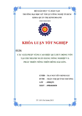 Luận văn các giải pháp nâng cao hiệu quả huy động vốn tại chi nhánh đông sài gòn thuộc ngân hàng nông nghiệp và phát triển nông thôn việt nam