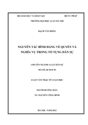 Luận văn thạc sĩ luật học nguyên tắc bình đẳng về quyền và nghĩa vụ trong tố tụng dân sự