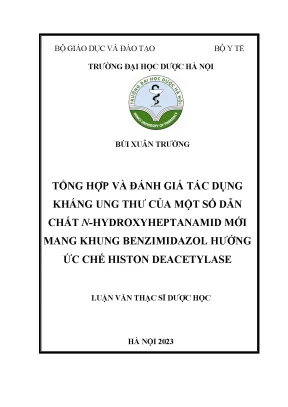 Bùi xuân trường tổng hợp và đánh giá tác dụng kháng ung thư của một số dẫn chất n hydroxyheptanamid mới mang khung benzimidazol hướng ức chế histon deacetylase luận văn thạc sĩ dược học