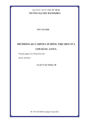Luận văn thạc sĩ kỹ thuật hóa học mô phỏng quá trình cấp đông thịt heo nửa con bằng ansys