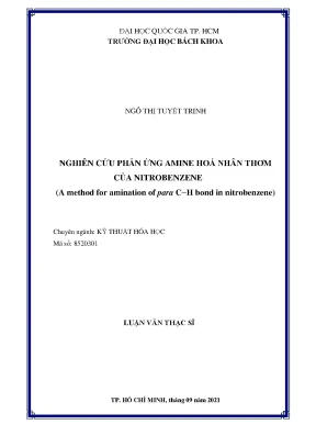 Luận văn thạc sĩ kỹ thuật hóa học nghiên cứu phản ứng amine hóa nhân thơm của nitrobenzene