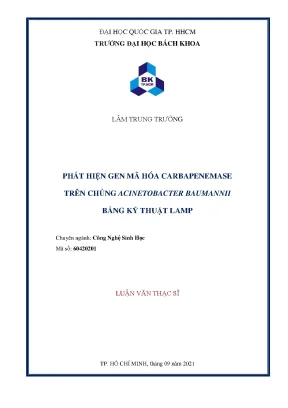 Luận văn thạc sĩ công nghệ sinh học phát hiện gen mã hóa carbapenemase trên chủng acinetobacter baumannii bằng kỹ thuật lamp