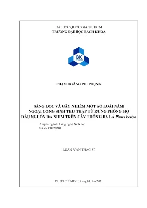 Luận văn thạc sĩ công nghệ sinh học sàng lọc và gây nhiễm một số loài nấm ngoại cộng sinh thu thập từ rừng phòng hộ đầu nguồn đa nhim trên cây thông ba lá pinus kesiya