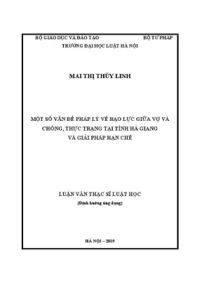 Luận văn thạc sĩ luật học một số vấn đề pháp lý về bạo lực giữa vợ và chồng thực trạng tại tỉnh hà giang và giải pháp hạn chế