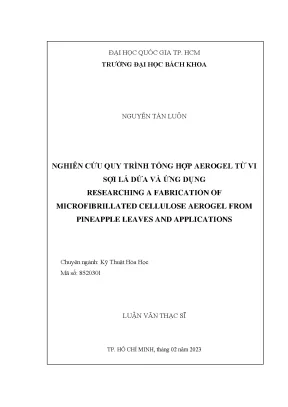 Luận văn thạc sĩ kỹ thuật hóa học nghiên cứu quy trình tổng hợp aerogel từ vi sợi lá dứa và ứng dụng