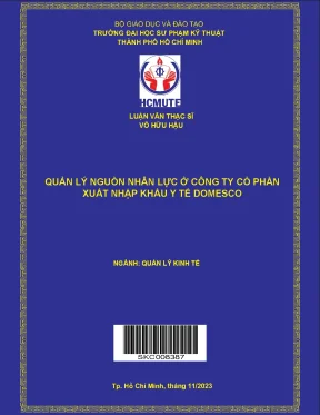 Luận văn thạc sĩ quản lý kinh tế quản lý nguồn nhân lực ở công ty cổ phần xuất nhập khẩu y tế domesco