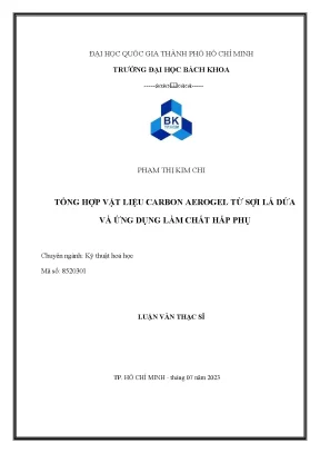 Luận văn thạc sĩ kỹ thuật hóa học tổng hợp vật liệu carbon aerogel từ sợi lá dứa và ứng dụng làm chất hấp phụ