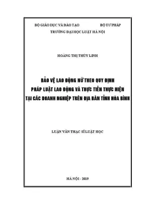 Luận văn thạc sĩ luật học bảo vệ lao động nữ theo quy định pháp luật lao động và thực tiễn thực hiện tại các doanh nghiệp trên địa bàn tỉnh hòa bình
