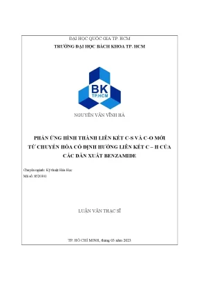Luận văn thạc sĩ kỹ thuật hóa học phản ứng hình thành liên kết cs và co mới từ chuyển hóa có định hướng liên kết ch của các dẫn xuất benzamide