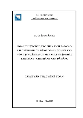 Luận văn thạc sĩ kế toán hoàn thiện công tác phân tích báo cáo tài chính khách hàng doanh nghiệp vay vốn tại ngân hàng thương mại cổ phần xuất nhập khẩu eximbank chi nhánh nam đà nẵng