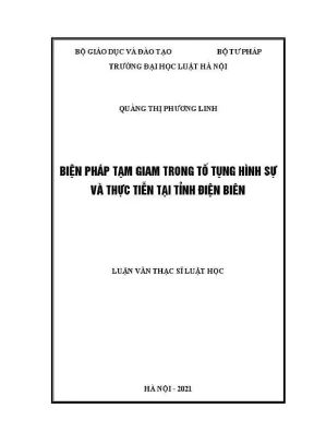 Luận văn thạc sĩ luật học biện pháp tạm giam trong tố tụng hình sự và thực tiễn tại tỉnh điện biên